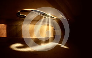 Interior view of a Violin