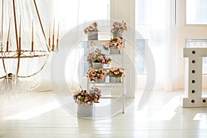 Interior white living room with Bouquets of flowers in round boxes on ladder. Wedding decor. Beautiful large chandelier with candl