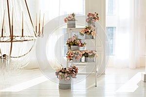 Interior white living room with Bouquets of flowers in round boxes on ladder. Wedding decor. Beautiful large chandelier with candl