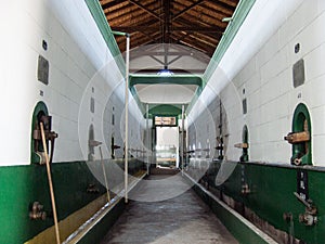 Interior of a winery