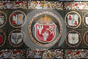 Interior of  Zhovkva castle