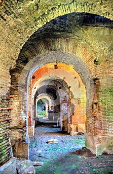 Interiors of the Capua Amphitheatre