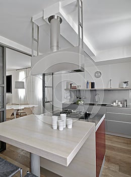 Interiors of a modern kitchen with island kitchen