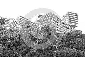 Interlace photo