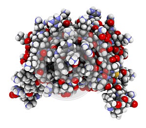 Interleukin 8 (IL-8) cytokine protein. IL8 can be secreted by macrophages and a number of other cell types and is involved in the