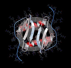 Interleukin 8 (IL-8) cytokine protein. IL8 can be secreted by macrophages and a number of other cell types and is involved in the