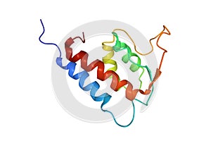 Structure of human interleukin-13