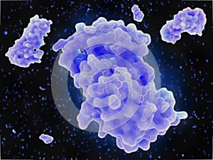 Interleukin 5 molecules
