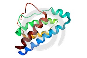 Structure of human interleukin-2