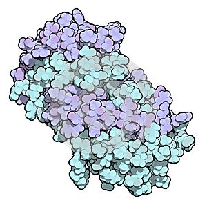 Interleukin 5 (IL-5) cytokine protein. 3D Illustratoin. photo