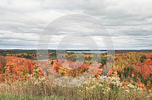 Interlochen Michigan Autumn Landscape