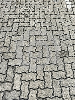 Interlocking Stone Pathway