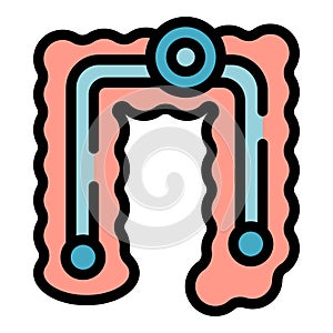 Intern enzymes icon vector flat