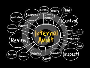 Internal Audit mind map, business concept
