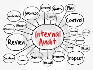 Internal Audit mind map flowchart