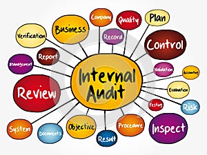 Internal Audit mind map flowchart
