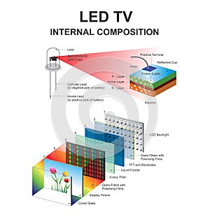 Internal composition led. Education infographic. Vector design.