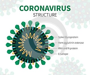Internal cutaway of coronavirus COVID-19 with RNA