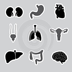 Internal human body organs stickers