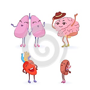 internal human organs brain, lungs, heart, spleen