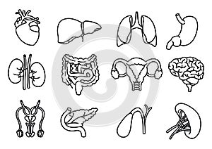 Internal human organs hand drawn icons set vector