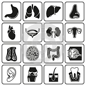 Internal human organs icons set