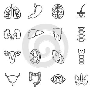 Internal human organs vector icons set in linear design style