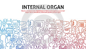 Internal Organ Outline Concept
