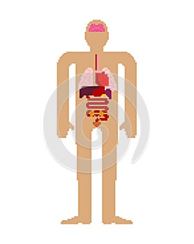 Internal organ pixel art set. 8 bit anatomy of human body. Heart