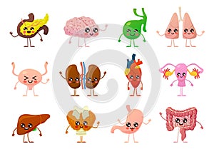 Internal organs. Human smiling brain, bladder and stomach, kidneys and intestines, liver and lungs, heart and pancreas