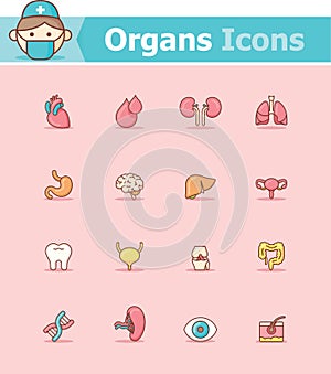 Internal organs icon set