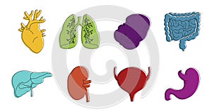 Internal organs icon set, color outline style