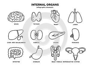 Internal organs icon set. Human organs infographic elements in line design isolated on white background. Brain, thyroid