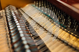 The internal parts of grand piano strings