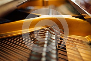 The internal parts of grand piano strings