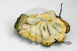 Internal Of Sugar Apple