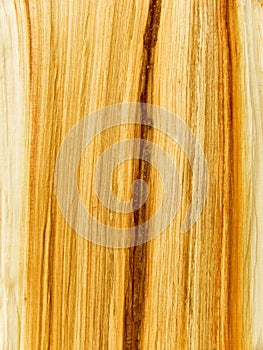 Internal tree structure