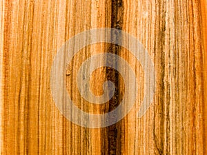 Internal tree structure