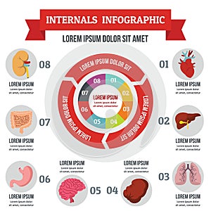 Internals infographic concept, flat style