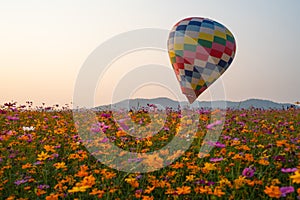 International Balloon Festival 2019