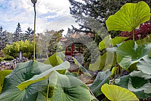 International Buddhist Temple, Richmond