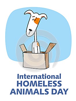 International day of homeless animals. Sad little cartoon dog sits in a box