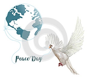 International Day of peace ,Pigeon vector illustration