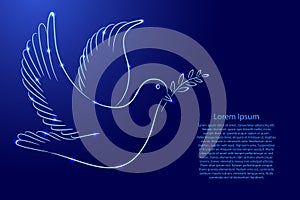 International day of peace, symbol of dove with branch from the contour classic blue color brush lines different thickness and