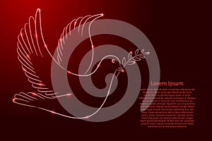 International day of peace, symbol of dove with branch from the contour classic red color brush lines different thickness and