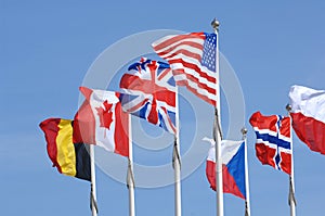 International Flags photo