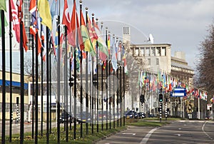 International Flags in The Hague