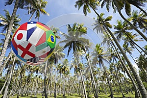 International Football Soccer Ball Flying in Brazilian Palm Grove