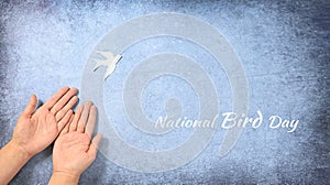 International and national bird day. Hands woman holding white bird on blue background. World peace day concept. Banner or
