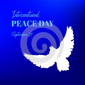 International Peace Day vecor greeting card with white dove